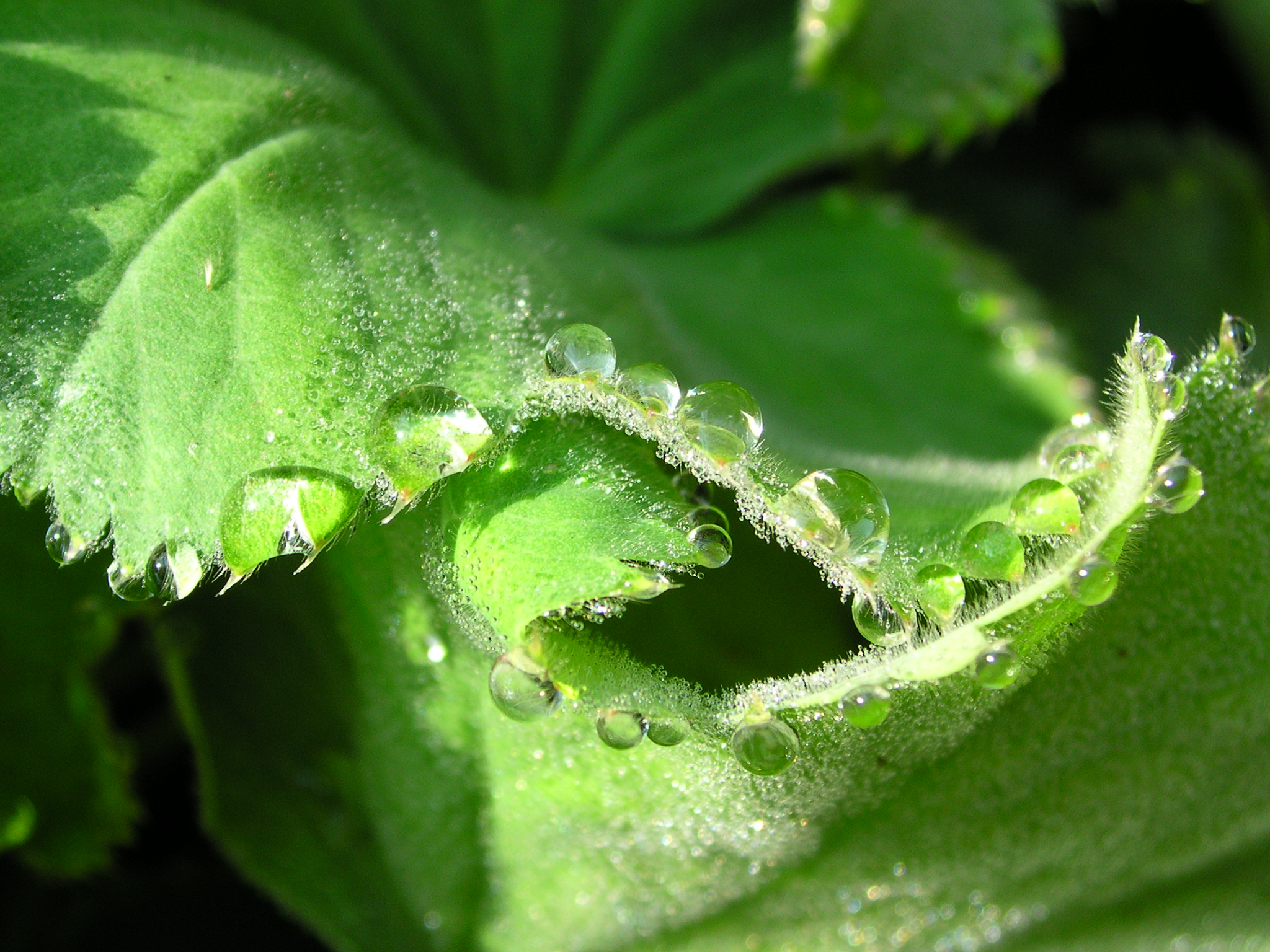 Leder-initiativer, der giver glade medarbejdere.